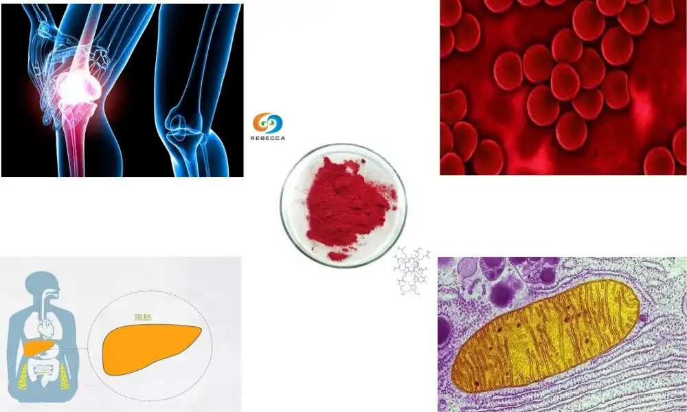 What is B12 cyanocobalamin powder good for?